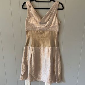 Adrianna Papell Champagne Dress Size 6